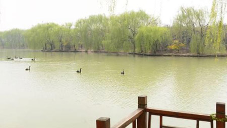 阜陽十大好玩的地方，阜陽有什么好玩的地方景點